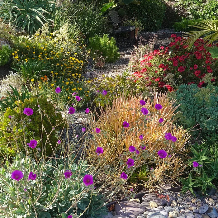 Elevate Your Yard with Decorative Stone: Design Ideas for Salt Lake Valley Homes