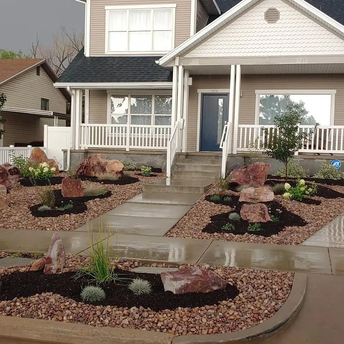 Premium Organic Compost