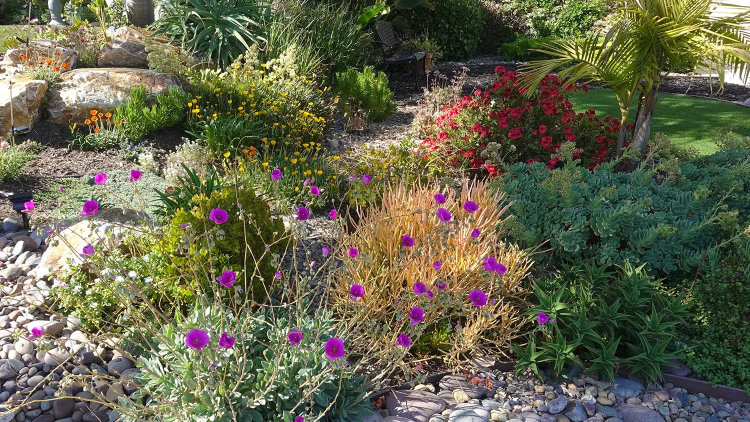 Elevate Your Yard with Decorative Stone: Design Ideas for Salt Lake Valley Homes