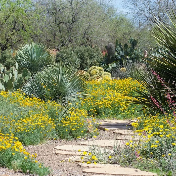 Pathway Materials