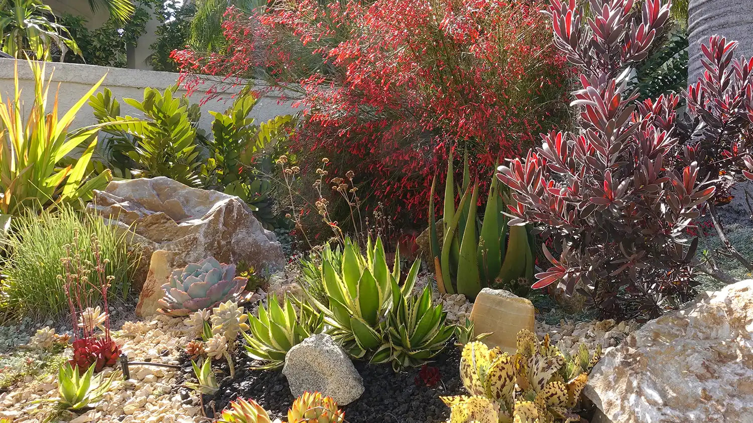 Landscape Rock Ideas That Make Outdoor Spaces Easier to Maintain and Better Looking
