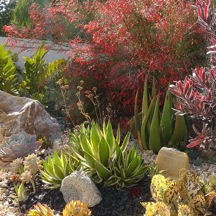 Landscape Rock Ideas That Make Outdoor Spaces Easier to Maintain and Better Looking