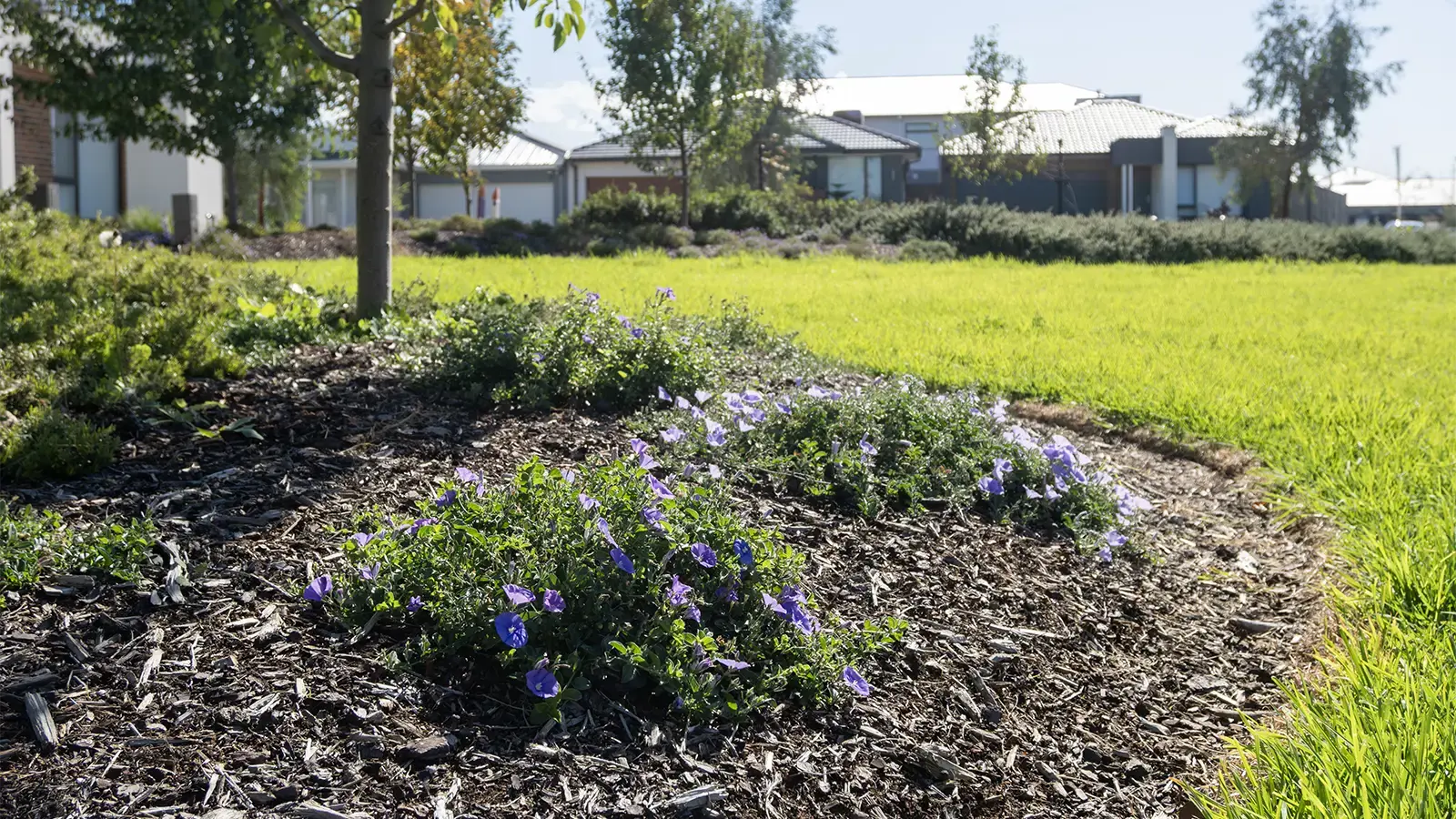 Essential Landscape Supplies for Building a Drought-Resistant Backyard Sanctuary
