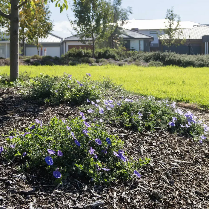 Essential Landscape Supplies for Building a Drought-Resistant Backyard Sanctuary