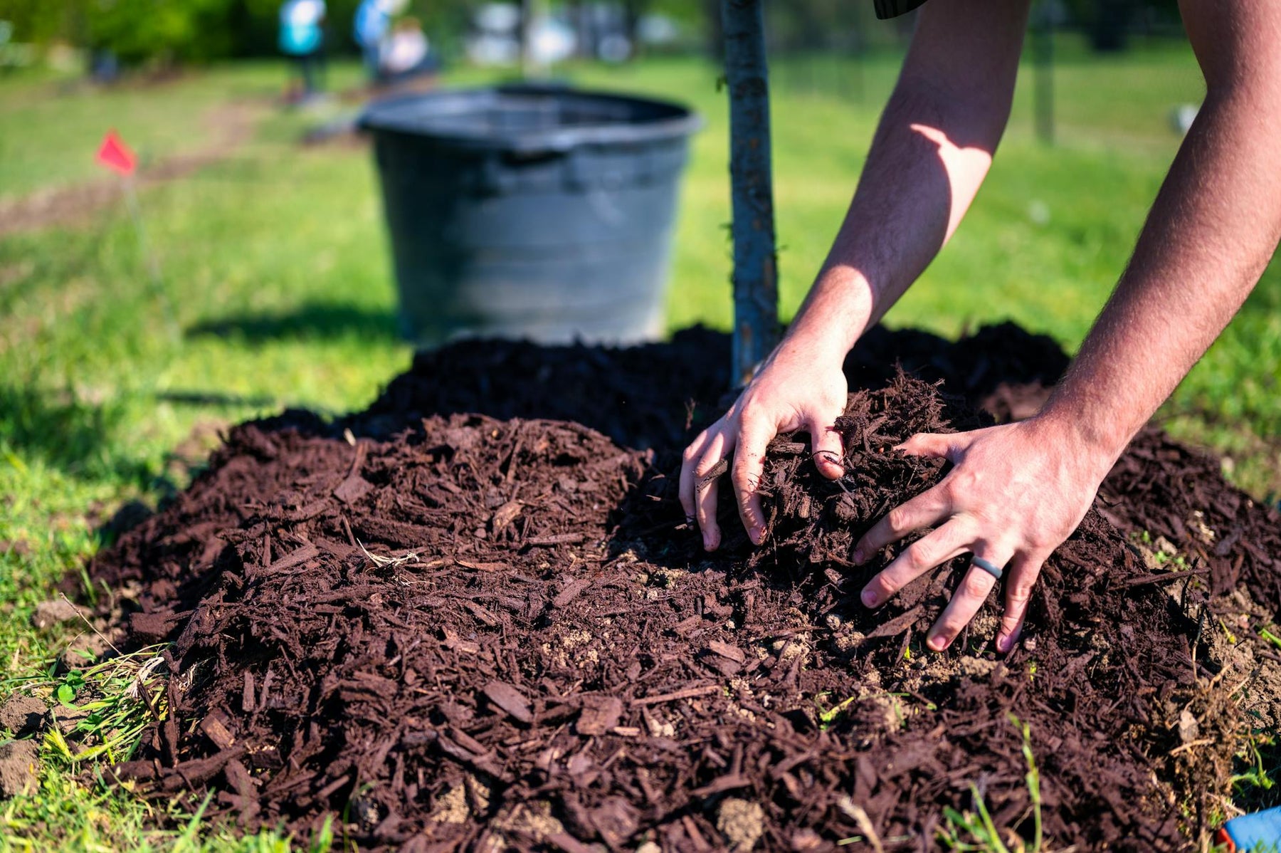 Top Landscape Materials for a Drought-Tolerant Yard in Utah