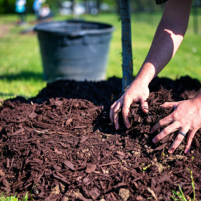 Top Landscape Materials for a Drought-Tolerant Yard in Utah