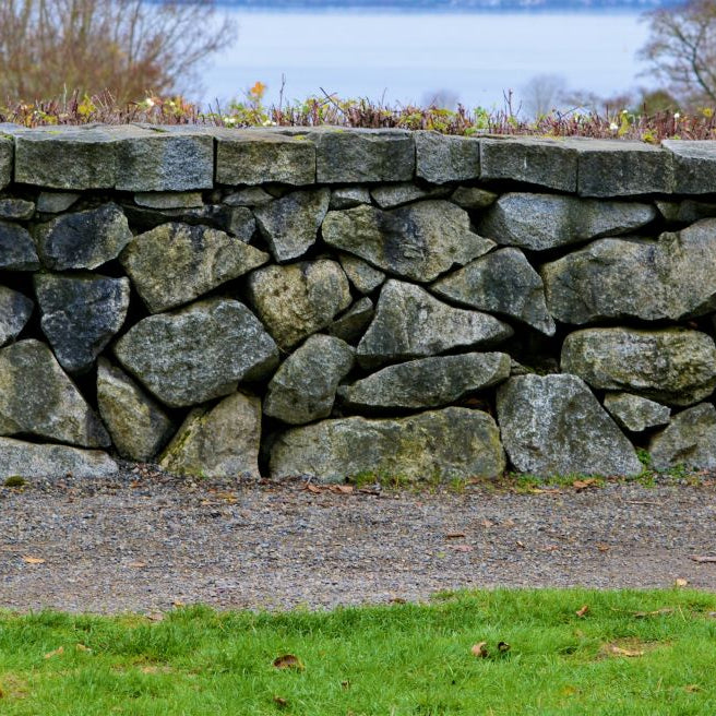 A rock wall in a yard made up of various kinds of fieldstones