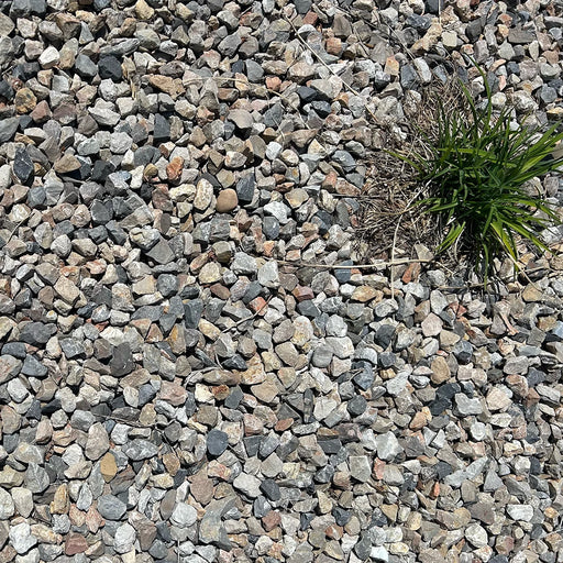 Cottonwood blend crushed rock in a bed with decorative grass
